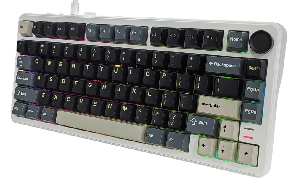 MK662 magnetic gaming keyboard, White case with dark keycaps, angled view